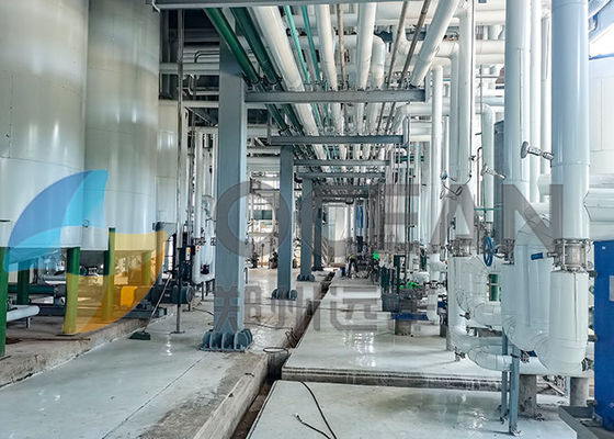 OEM Vegetable Oil Press Equipment Palm Oil Making Machine