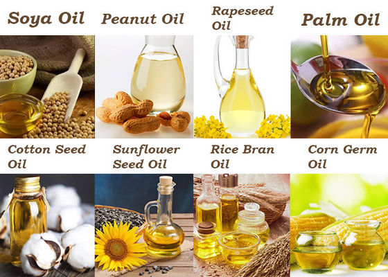 OEM Soya Oilseed Press Plant Edible Oil Production Equipment
