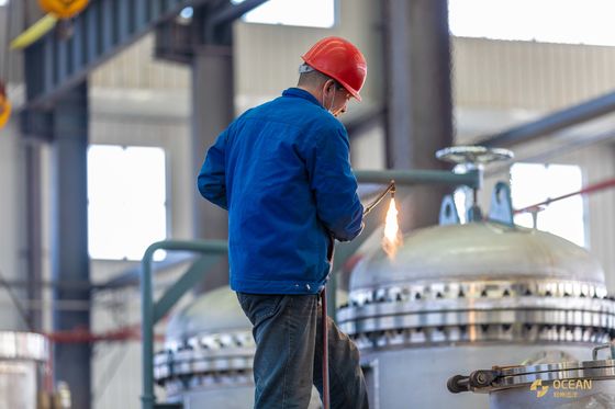 Workshop 20TPD Mustard Oil Refinery Plant ISO9001 Extracted