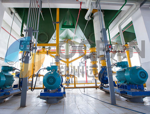 Stainless Steel Oilseed Press Plant Rice Bran Oil Extraction OEM