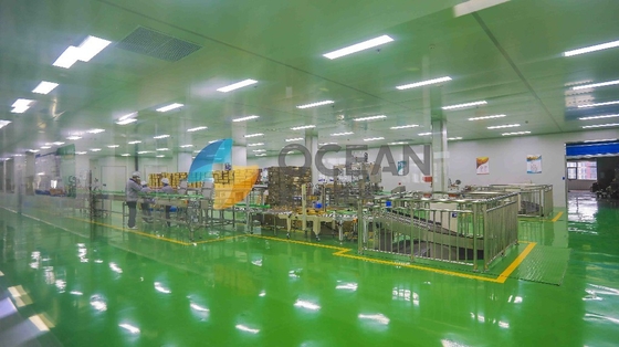OEM Edible Oil Pretreatment Chemical Plant Processing Customized Temperature