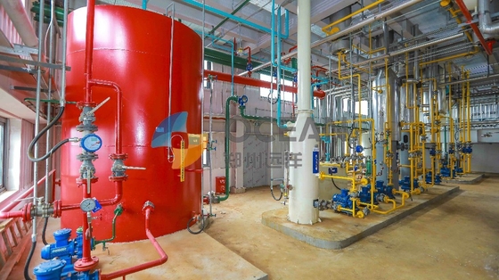 Coconut Oil Pressing Plant Avocado Oil Processing Machine Easy Operation