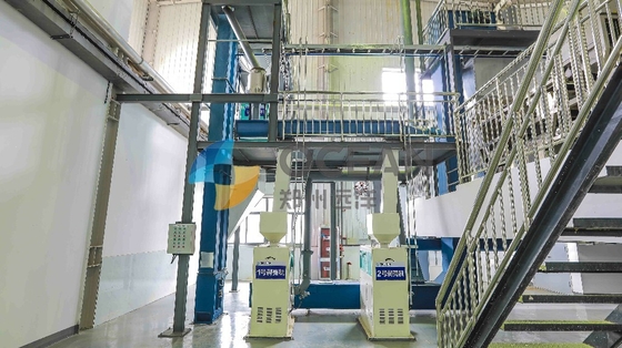 Stainless Steel Oilseed Press Plant Rice Oil Extraction Machinery
