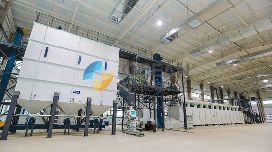 Stainless Steel Oilseed Press Plant Rice Oil Extraction Machinery