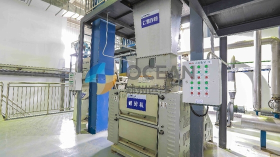 Stainless Steel Oilseed Press Plant Rice Oil Extraction Machinery