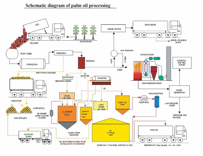 Set Up Vegetable Oil Extraction Plant OEM Oil Processing Machine